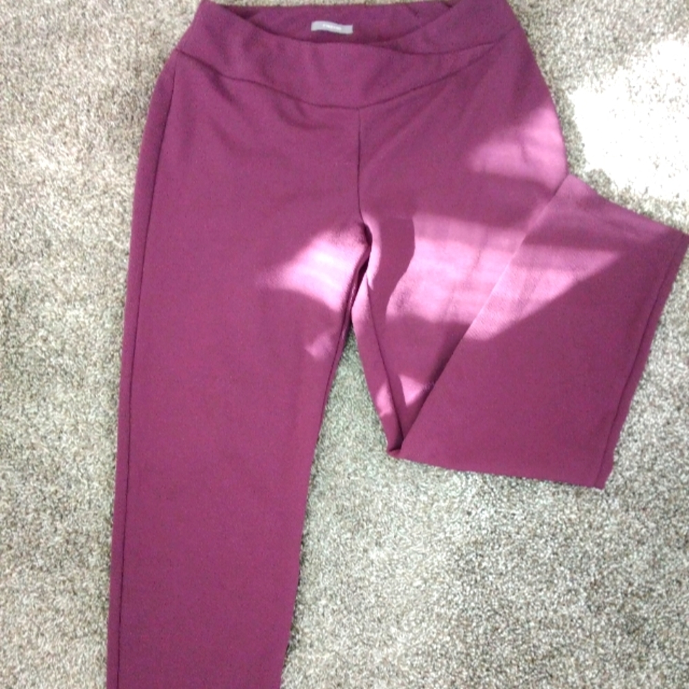 Dress pants